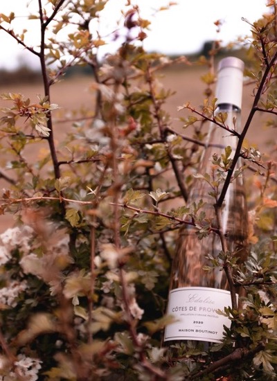 Var Vineyards Wine Tasting Tour