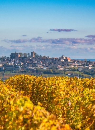 Nice Private Wine Tasting Tour